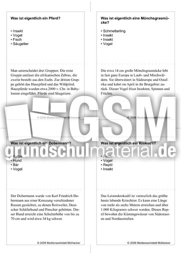 Quiz-Karten-Tiernamen 60.pdf